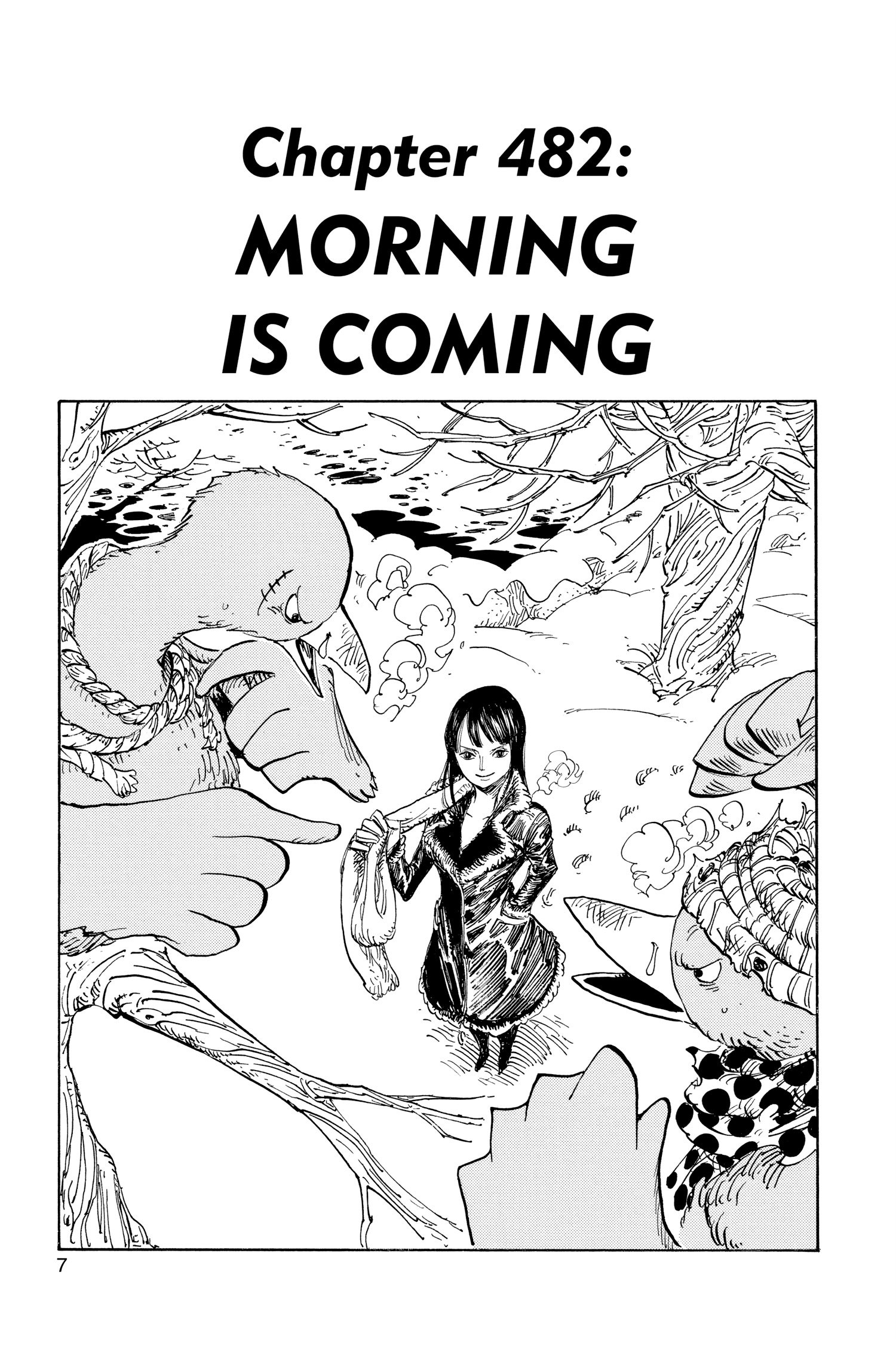 One Piece, Chapter 482 image 07